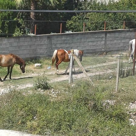 בראט Villa Likaj מראה חיצוני תמונה
