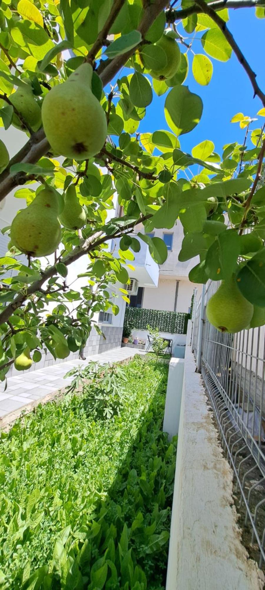 בראט Villa Likaj חדר תמונה