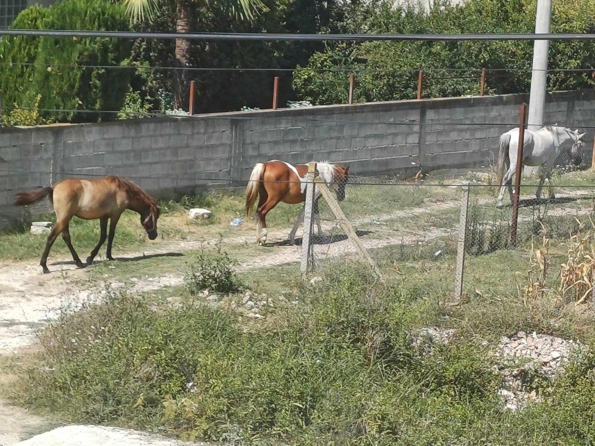 בראט Villa Likaj מראה חיצוני תמונה
